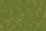grass-3.jpg