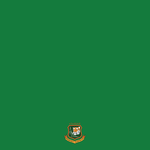 widebrim.png
