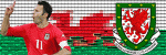 giggs-wales.gif