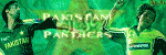 Pakistani Panthers.gif