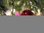 single_red_ornament800.jpg