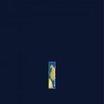 CRICKET2009.EXE_0x27EC3BA8.jpg