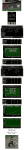 M4.png