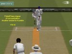 Flintoff LBW.jpg
