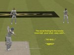 No Ball.jpg