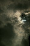 DSC_0970D.jpg