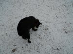 DSCN0355.JPG