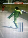 asia cup 2010 cup pak.jpg