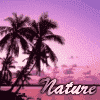 av8.png