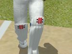 GN1.jpg