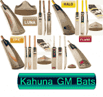 Gm Bats.png