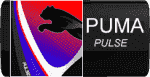 PULSE.png