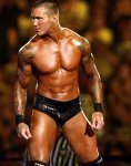 Randy+Orton+orton+png4.jpg