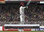 gayle500.JPG