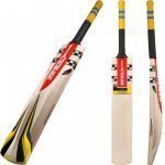 gray_nicolls_vortex_2014.jpg