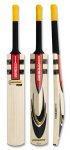gray-nicolls-powerbow-1000-le-cricket-bat (2).jpg