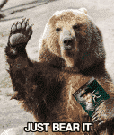 Bear.png