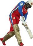 gayle cut.png