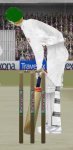 nPower stumps.jpg