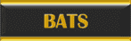 BATS.png