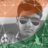 Heer Patel