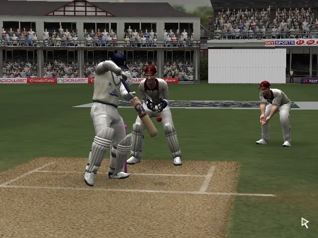 cricket072007-06-0914-15-24-34.jpg
