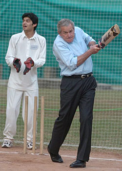 cricketEPA_250x350.jpg