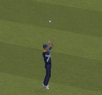 lehmanout.jpg