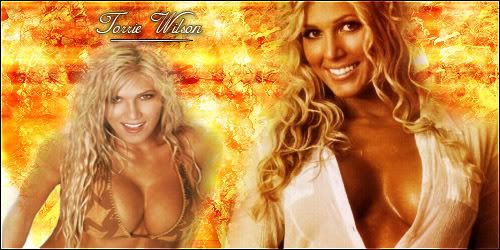 TorrieWilsonbanner.jpg