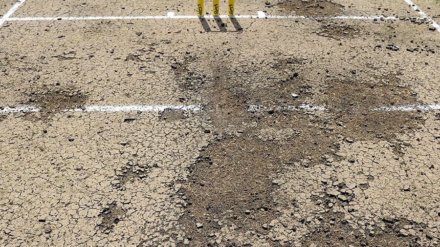 225537.3.jpg