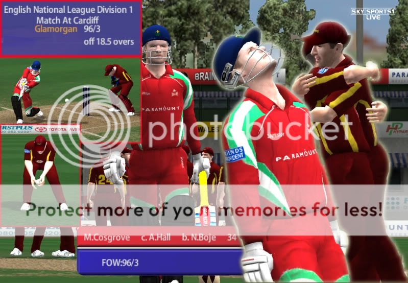 Cricket20052011-03-2915-51-33-39.jpg