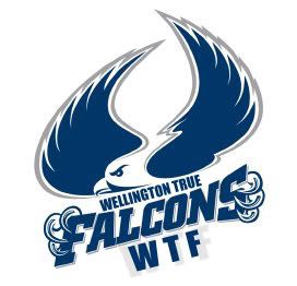 WTF-logo.jpg