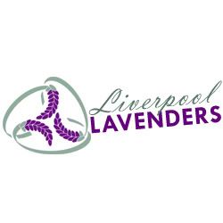 LiverpoolLavenders.jpg