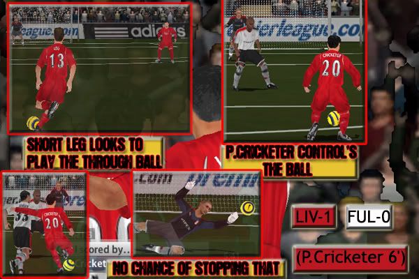 goal1fnl.jpg