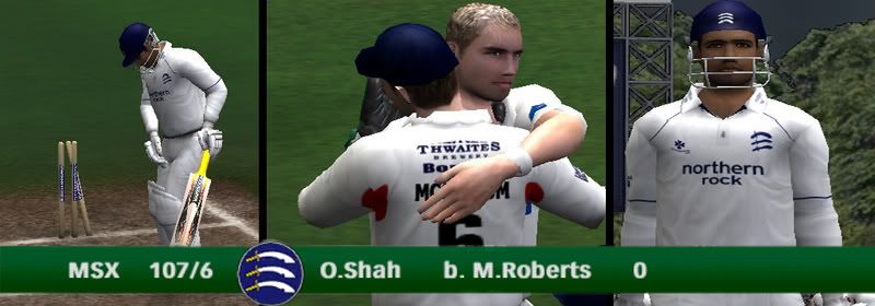 FirstWicket.jpg