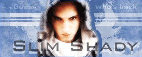 Slim-Shady.png