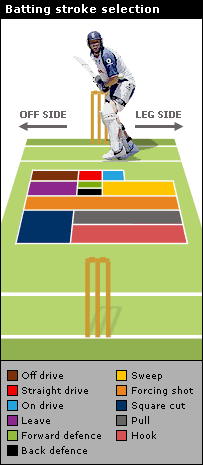 _40720040_batting_stroke_sel3_203.gif