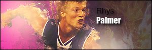 palmersig2copy.png