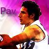 pavavycopy.jpg