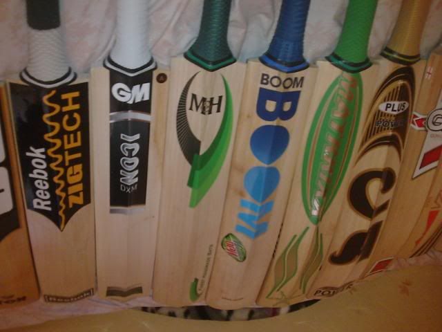 fourteenbats15.jpg