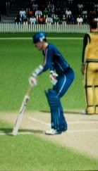 CrotchBeforeWicket.jpg