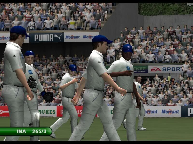 Cricket072008-03-2700-28-29-31.jpg