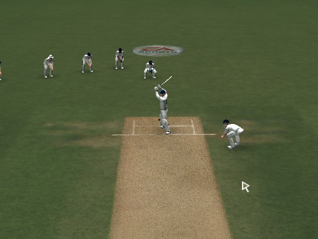 Kirtleywicket.jpg