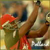 Pollard_Icon-1.gif